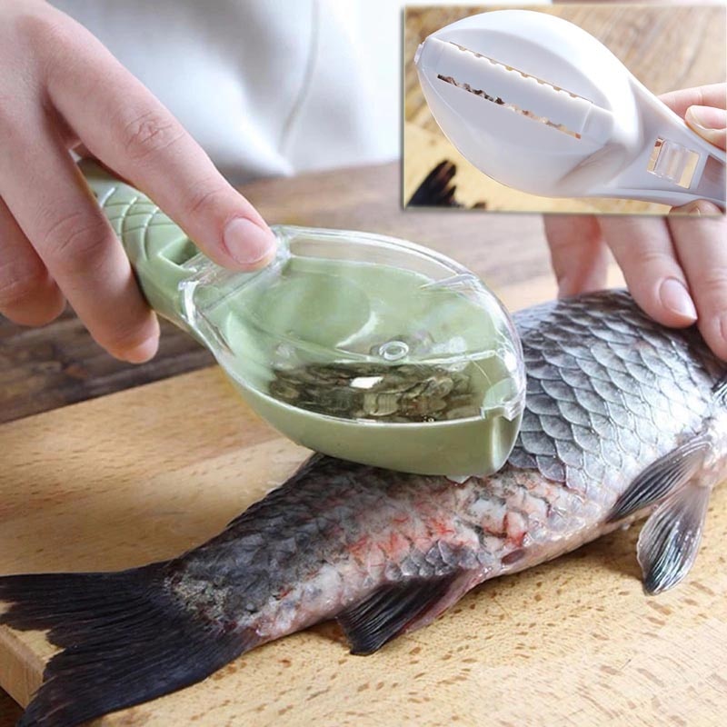 Fish Scales Remover Knife Brush Scraper | Utensils | | The Brand Decò