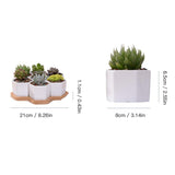 7 Pack White Ceramic Small Hexagonal Succulent Cactus Flower Plant Pot With Tray for Planter Pots Indoor | Hanging Plant | | The Brand Decò