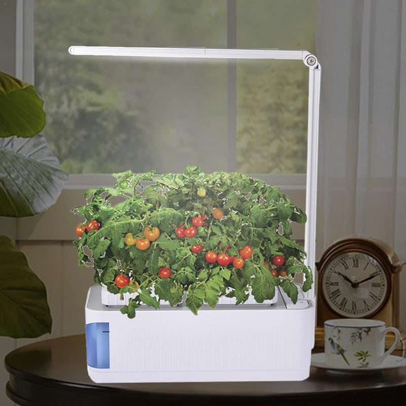Desk Lamp Hydroponic Indoor Herb Garden Kit | Light | | The Brand Decò